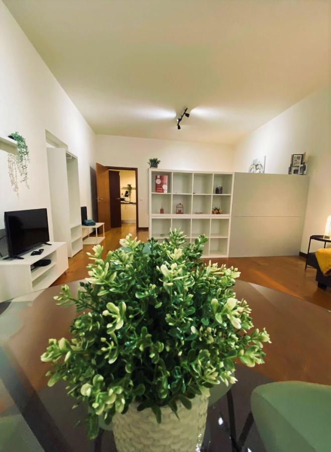 Studio A Zona Historica Clerigos Porto Zewnętrze zdjęcie